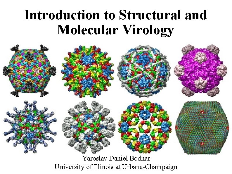 Introduction to Structural and Molecular Virology Yaroslav Daniel Bodnar University of Illinois at Urbana-Champaign