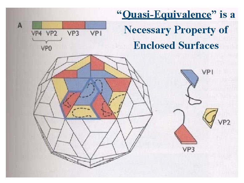 “Quasi-Equivalence” is a Necessary Property of Enclosed Surfaces 