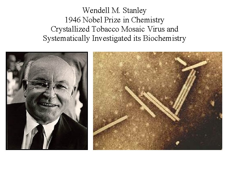 Wendell M. Stanley 1946 Nobel Prize in Chemistry Crystallized Tobacco Mosaic Virus and Systematically
