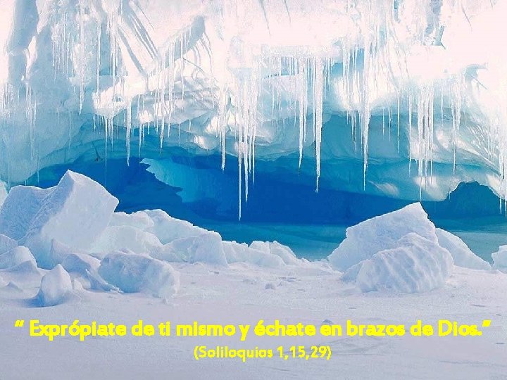 “ Exprópiate de ti mismo y échate en brazos de Dios. ” (Soliloquios 1,