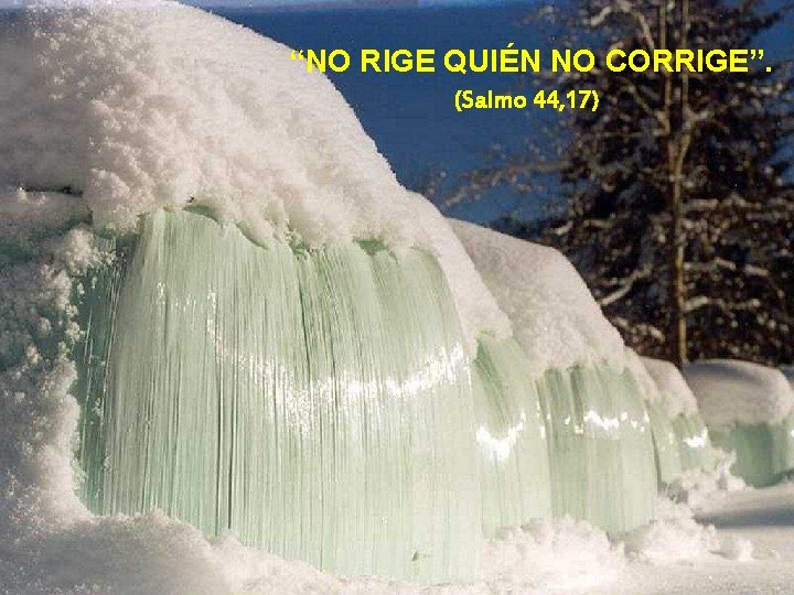 “NO RIGE QUIÉN NO CORRIGE”. (Salmo 44, 17) 