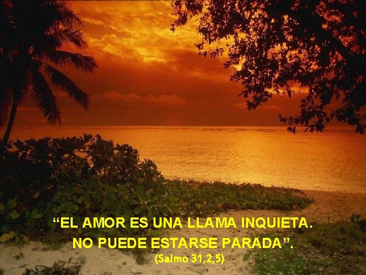 “EL AMOR ES UNA LLAMA INQUIETA. NO PUEDE ESTARSE PARADA”. (Salmo 31, 2, 5)