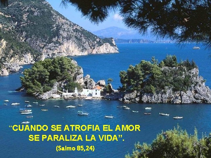 “CUANDO SE ATROFIA EL AMOR SE PARALIZA LA VIDA”. (Salmo 85, 24) 