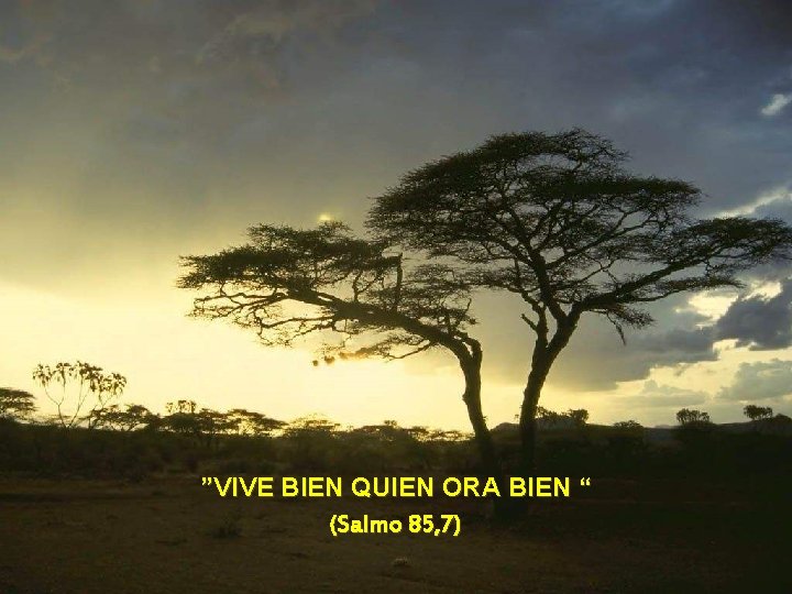 ”VIVE BIEN QUIEN ORA BIEN “ (Salmo 85, 7) 