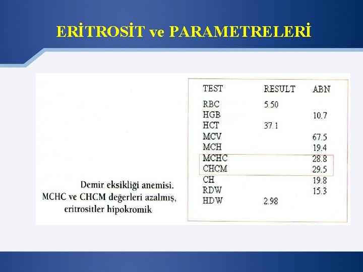 ERİTROSİT ve PARAMETRELERİ 
