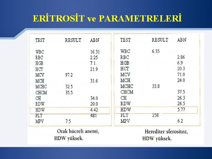 ERİTROSİT ve PARAMETRELERİ 