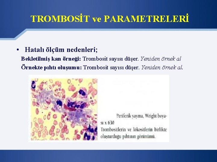 TROMBOSİT ve PARAMETRELERİ • Hatalı ölçüm nedenleri; Bekletilmiş kan örneği: Trombosit sayısı düşer. Yeniden