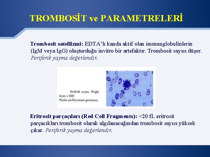 TROMBOSİT ve PARAMETRELERİ Trombosit satellizmi: EDTA’lı kanda aktif olan immunglobulinlerin (Ig. M veya Ig.