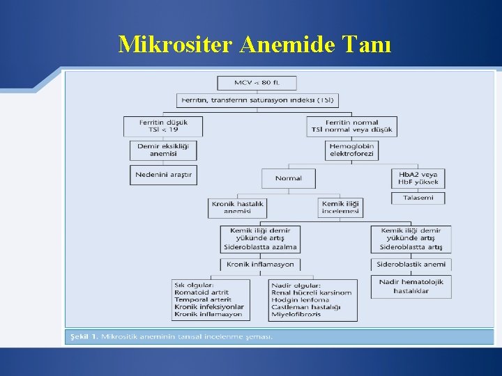 Mikrositer Anemide Tanı 