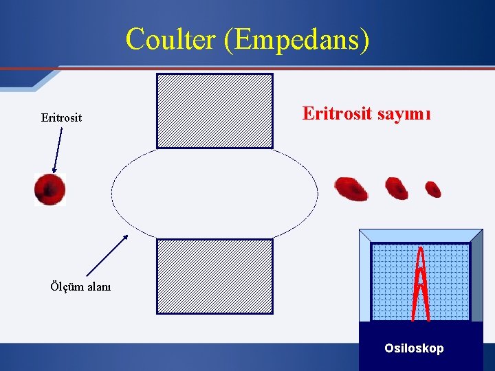 Coulter (Empedans) Eritrosit sayımı Ölçüm alanı Oscilloscope Osiloskop 