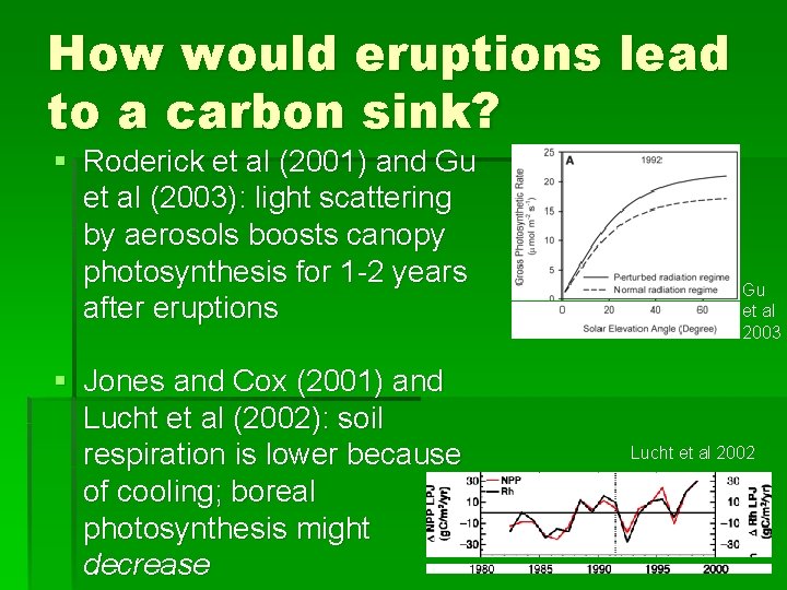 How would eruptions lead to a carbon sink? § Roderick et al (2001) and