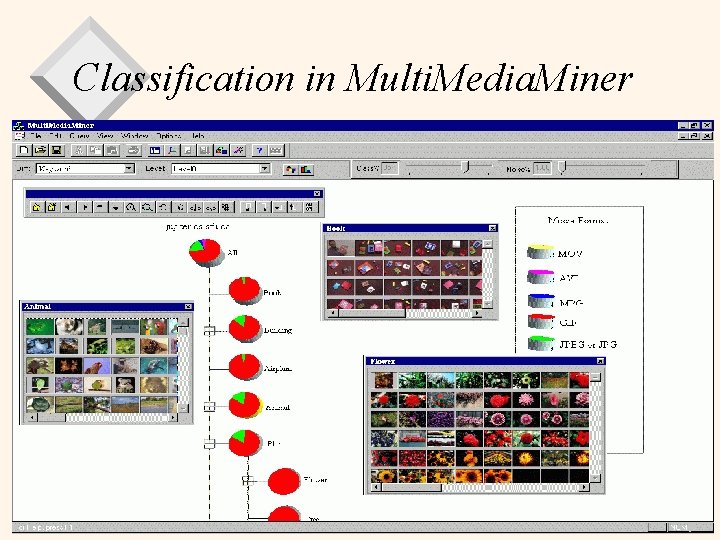 Classification in Multi. Media. Miner Data Warehousing/Mining 32 
