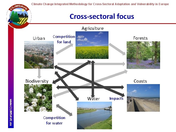 Climate Change Integrated Methodology for Cross-Sectoral Adaptation and Vulnerability in Europe Cross-sectoral focus Agriculture