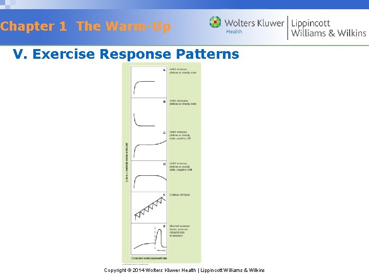 Chapter 1 The Warm-Up V. Exercise Response Patterns Copyright © 2014 Wolters Kluwer Health