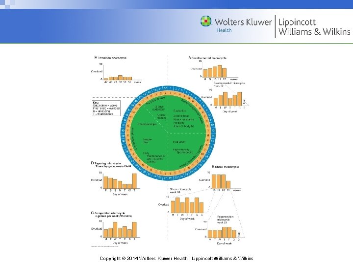 Copyright © 2014 Wolters Kluwer Health | Lippincott Williams & Wilkins 