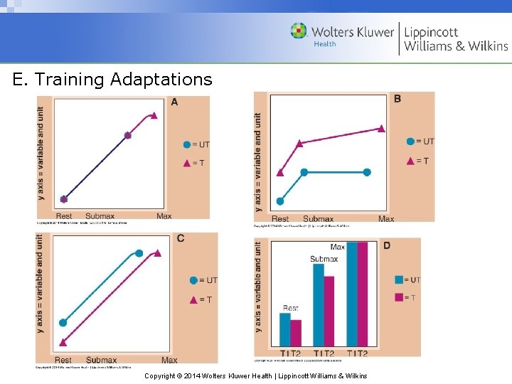 E. Training Adaptations Copyright © 2014 Wolters Kluwer Health | Lippincott Williams & Wilkins