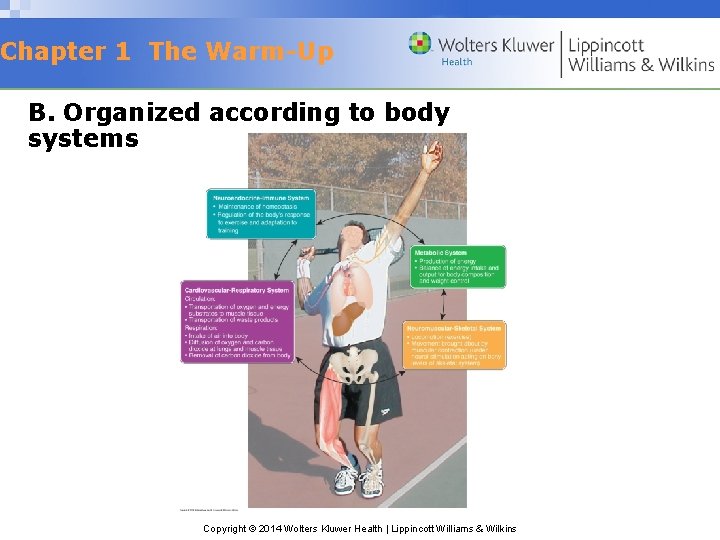 Chapter 1 The Warm-Up B. Organized according to body systems Copyright © 2014 Wolters