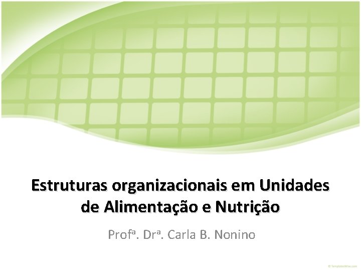 Estruturas organizacionais em Unidades de Alimentação e Nutrição Profa. Dra. Carla B. Nonino 