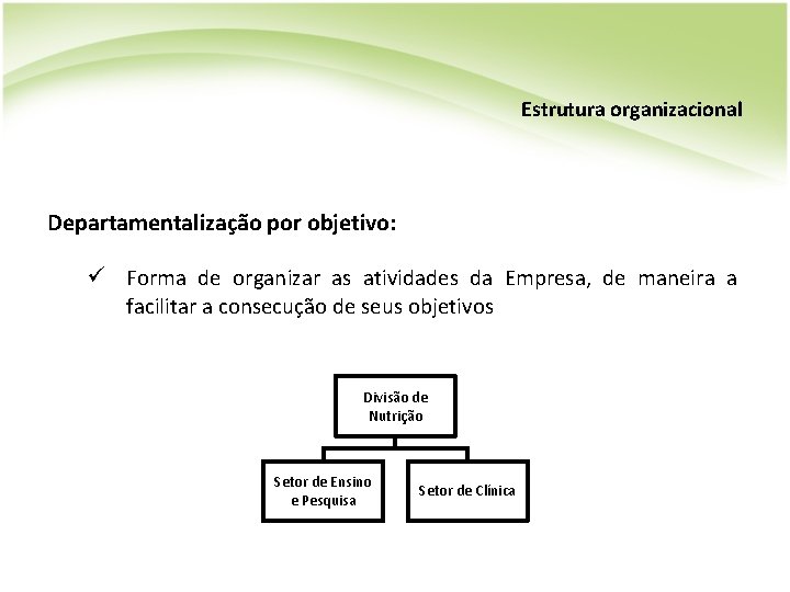 Estrutura organizacional Departamentalização por objetivo: ü Forma de organizar as atividades da Empresa, de
