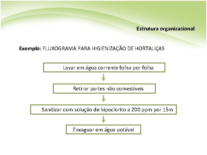 Estrutura organizacional Exemplo: FLUXOGRAMA PARA HIGIENIZAÇÃO DE HORTALIÇAS Lavar em água corrente folha por