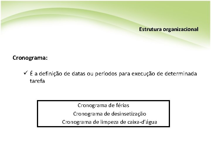 Estrutura organizacional Cronograma: ü É a definição de datas ou períodos para execução de