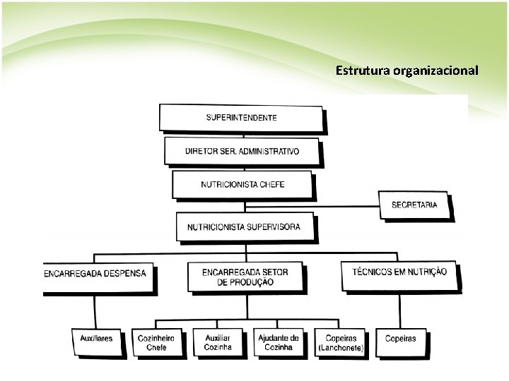 Estrutura organizacional 