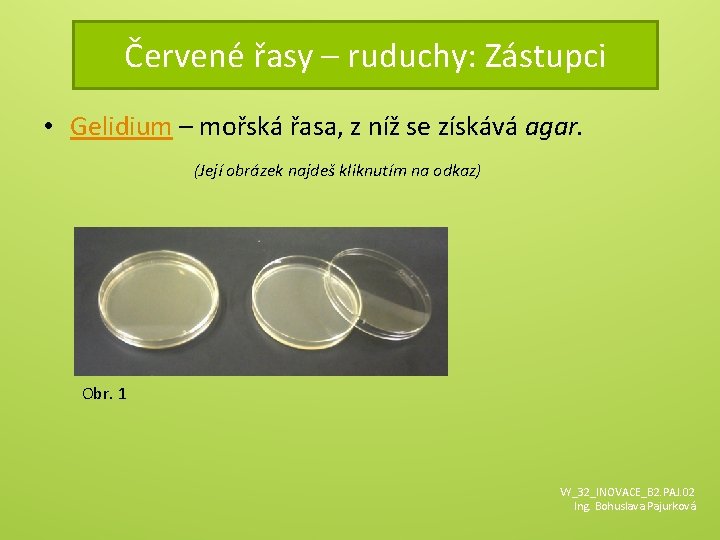 Červené řasy – ruduchy: Zástupci • Gelidium – mořská řasa, z níž se získává