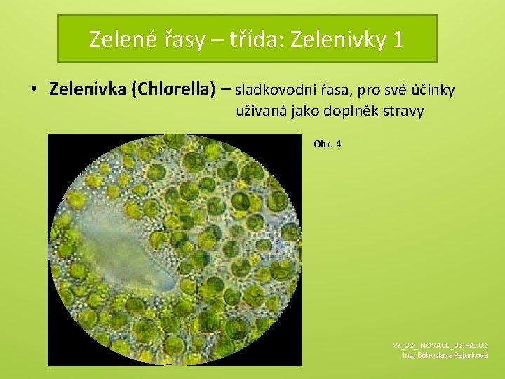 Zelené řasy – třída: Zelenivky 1 • Zelenivka (Chlorella) – sladkovodní řasa, pro své