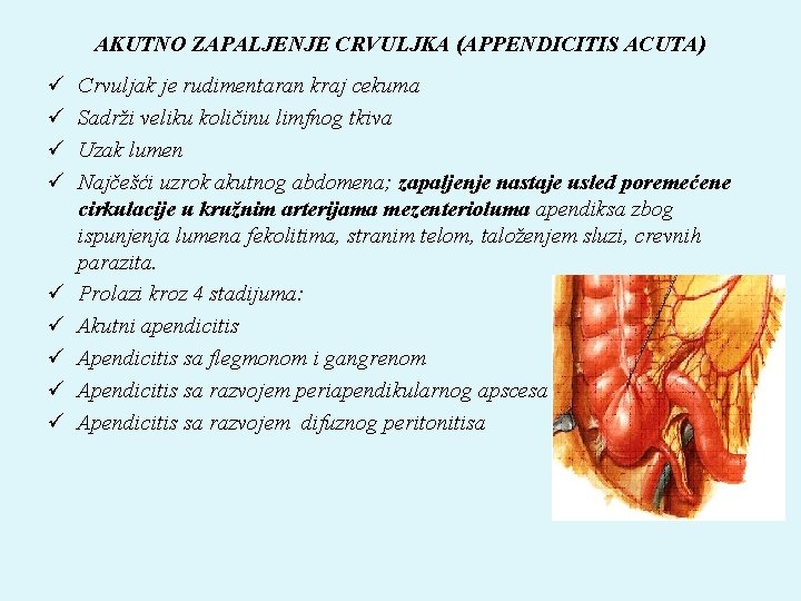 AKUTNO ZAPALJENJE CRVULJKA (APPENDICITIS ACUTA) ü ü ü ü ü Crvuljak je rudimentaran kraj