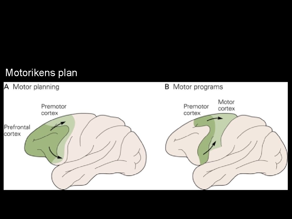 Motorikens plan 