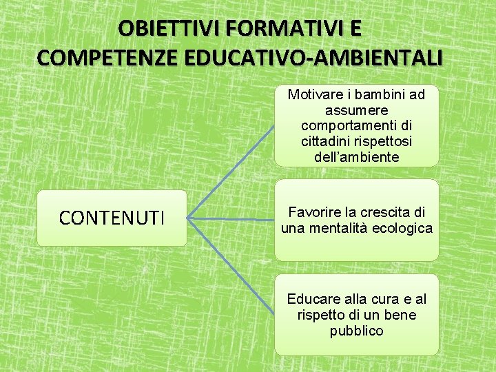 OBIETTIVI FORMATIVI E COMPETENZE EDUCATIVO-AMBIENTALI Motivare i bambini ad assumere comportamenti di cittadini rispettosi