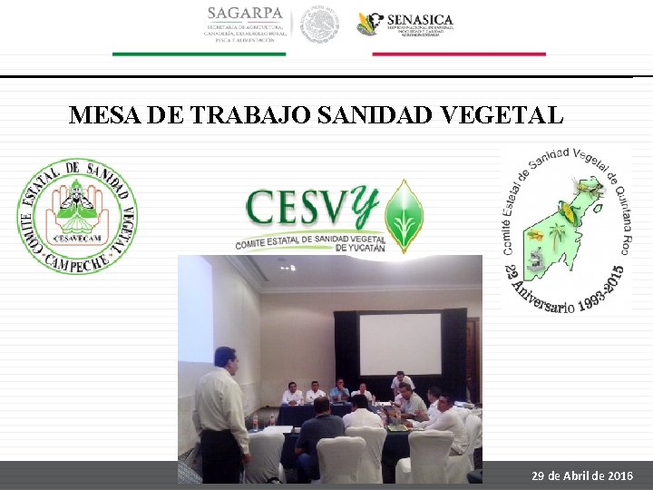 MESA DE TRABAJO SANIDAD VEGETAL 29 de Abril de 2016 