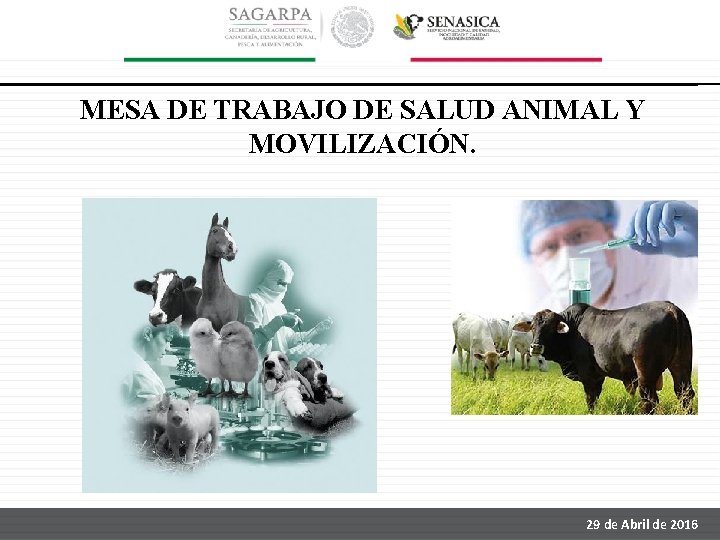 MESA DE TRABAJO DE SALUD ANIMAL Y MOVILIZACIÓN. 29 de Abril de 2016 