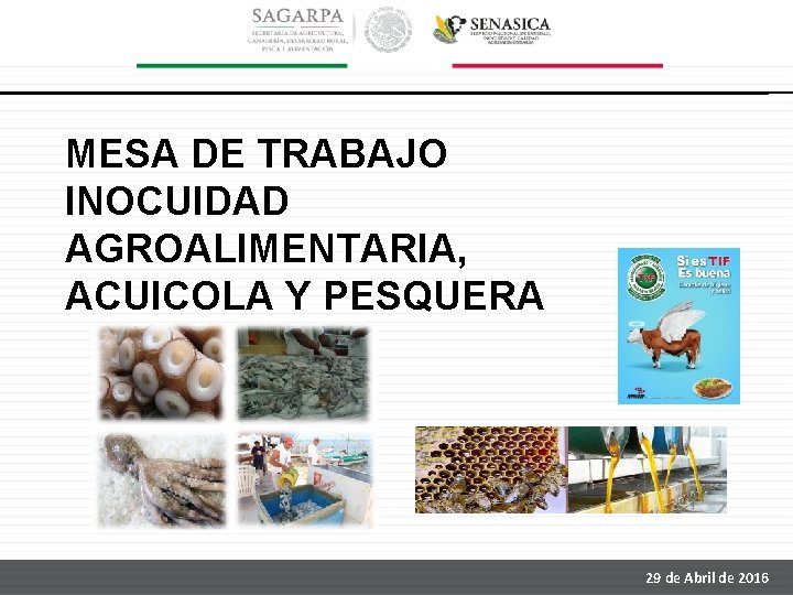 MESA DE TRABAJO INOCUIDAD AGROALIMENTARIA, ACUICOLA Y PESQUERA 29 de Abril de 2016 