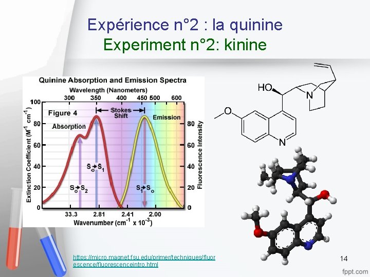 Expérience n° 2 : la quinine Experiment n° 2: kinine https: //micro. magnet. fsu.