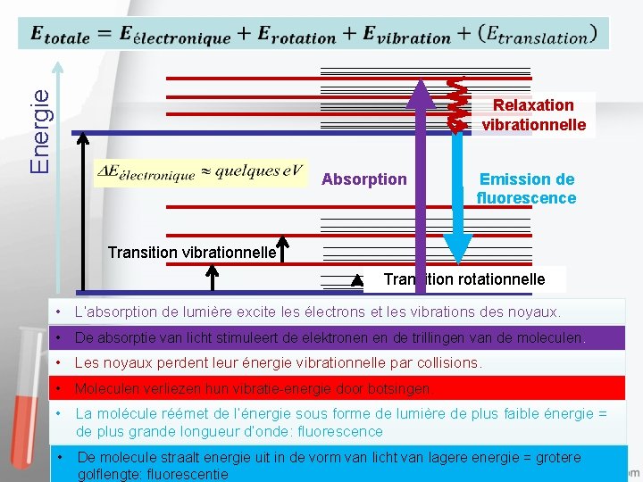 Energie Relaxation vibrationnelle Absorption Emission de fluorescence Transition vibrationnelle Transition rotationnelle • L’absorption de