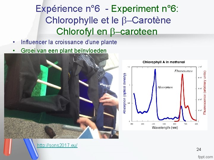 Expérience n° 6 - Experiment n° 6: Chlorophylle et le b Carotène Chlorofyl en