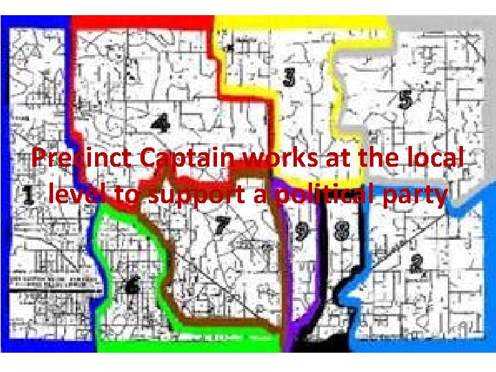 Precinct Captain works at the local level to support a political party 