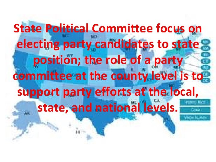 State Political Committee focus on electing party candidates to state position; the role of