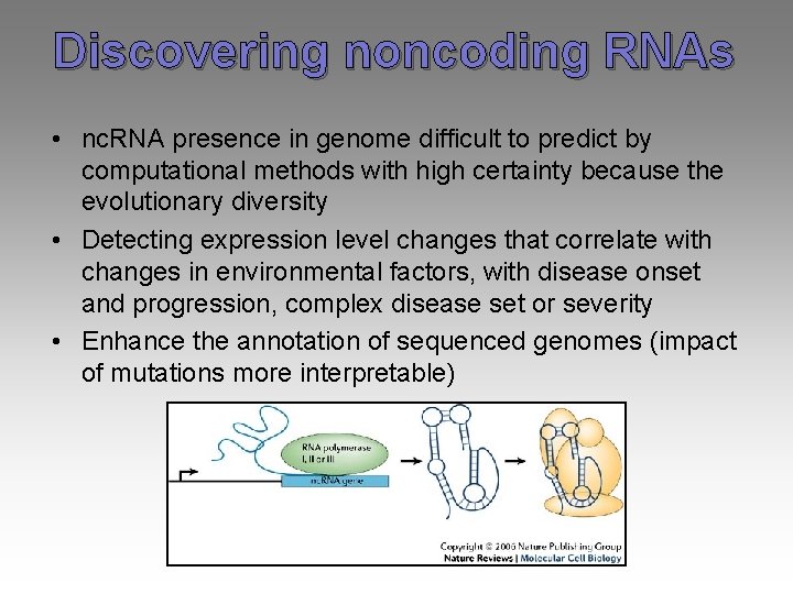 Discovering noncoding RNAs • nc. RNA presence in genome difficult to predict by computational