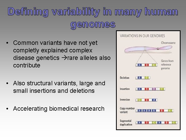 Defining variability in many human genomes • Common variants have not yet completly explained