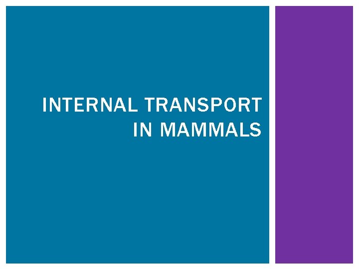 INTERNAL TRANSPORT IN MAMMALS 