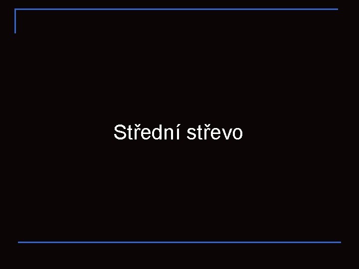 Střední střevo 