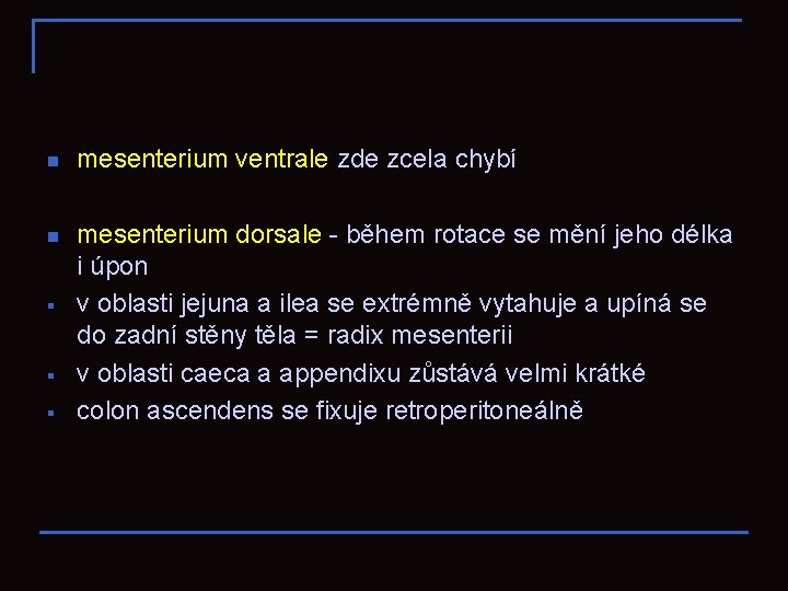 n mesenterium ventrale zde zcela chybí n mesenterium dorsale - během rotace se mění