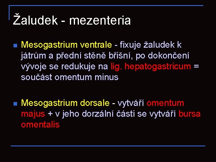 Žaludek - mezenteria n Mesogastrium ventrale - fixuje žaludek k játrům a přední stěně
