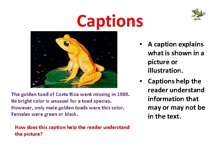 Captions The golden toad of Costa Rica went missing in 1989. Its bright color