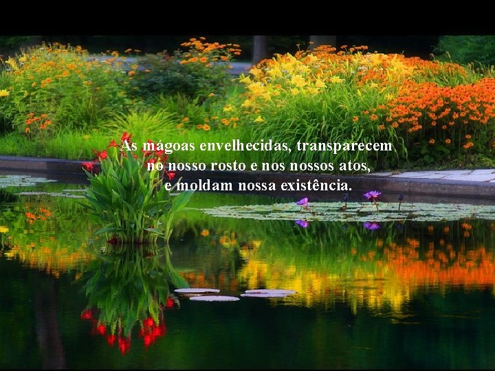 As mágoas envelhecidas, transparecem no nosso rosto e nossos atos, e moldam nossa existência.