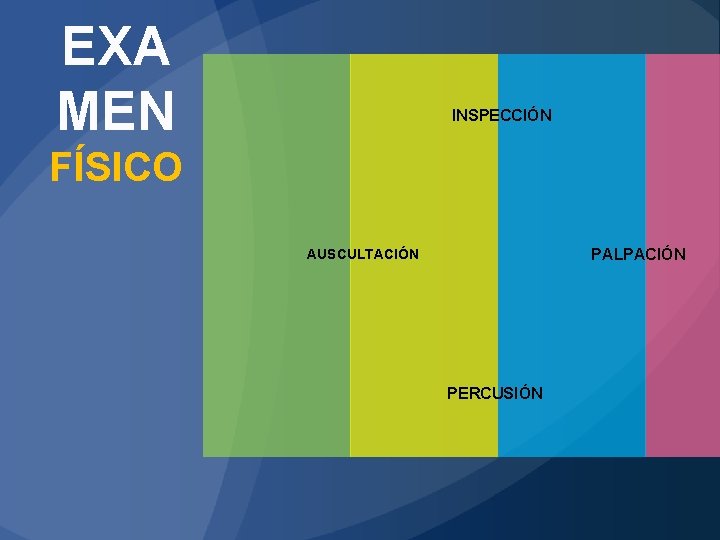 EXA MEN INSPECCIÓN FÍSICO PALPACIÓN AUSCULTACIÓN PERCUSIÓN 