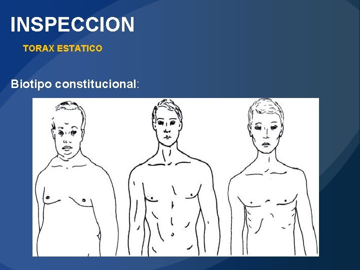 INSPECCION TORAX ESTATICO Biotipo constitucional: 