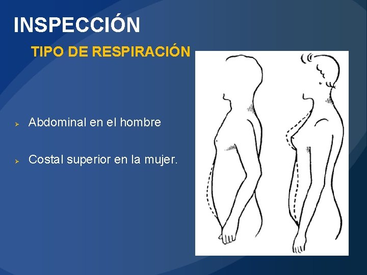 INSPECCIÓN TIPO DE RESPIRACIÓN Ø Abdominal en el hombre Ø Costal superior en la